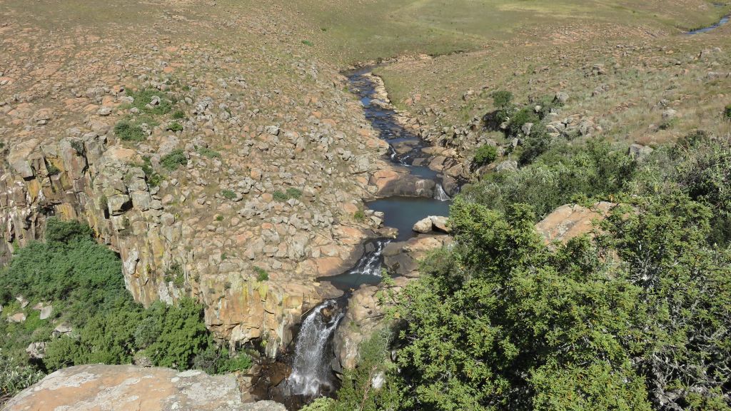 Grey rhebok water fall